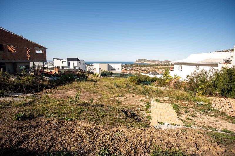 0 Bedroom Property for Sale in Whale Rock Western Cape